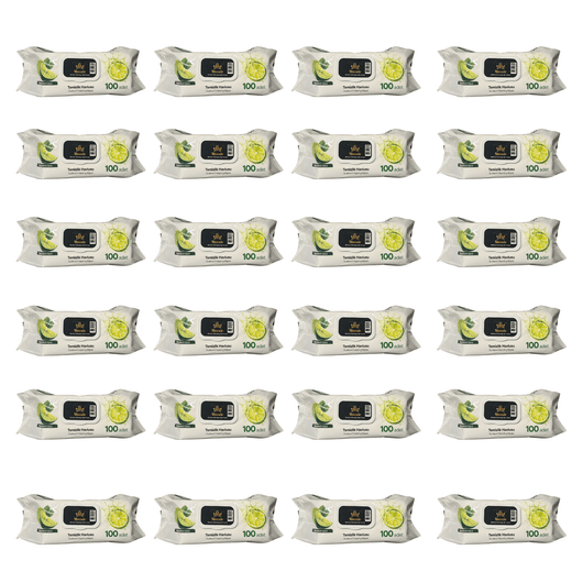 Pachet MAX Citrus Stock – 24x Șervețele Umede Mozaic cu Lămâie 100 buc - | VrajaDulce