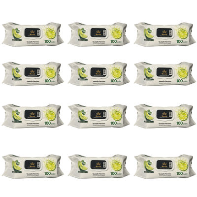 Pachet Ultra Fresh Citrus – 12x Șervețele Umede Mozaic cu Lămâie 100 buc - | VrajaDulce