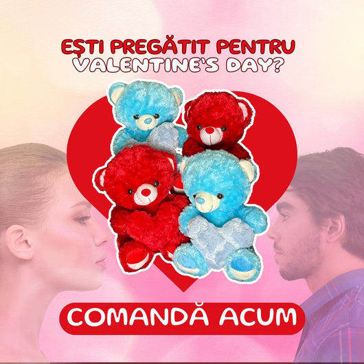Ursuleț de pluș Valentine’s Day – Cadou romantic pentru Ea sau El - | VrajaDulce