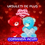 Ursuleț de pluș Valentine’s Day – Cadou romantic pentru Ea sau El - | VrajaDulce